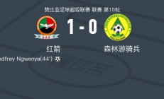 华体会体育-狂热球迷加油助威，全力支持球队取胜