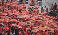 华体会体育-罗马城主场胜利，球迷欢呼声如潮
