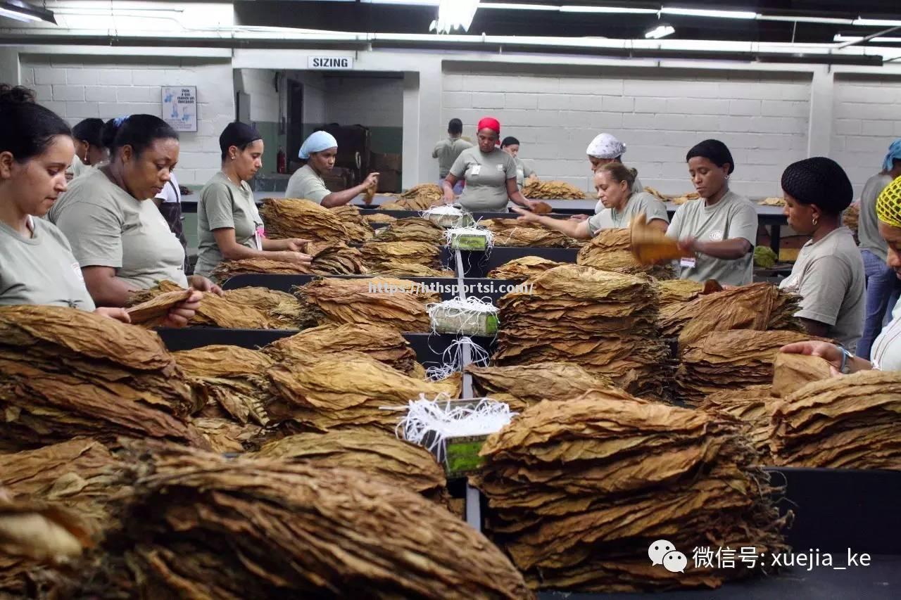 古巴女足在热身大赛中发挥稳定