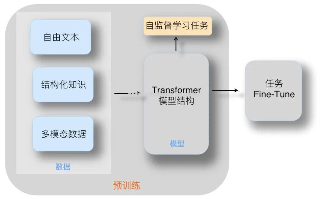 球员个人训练特辑揭秘，技术细节深度解读